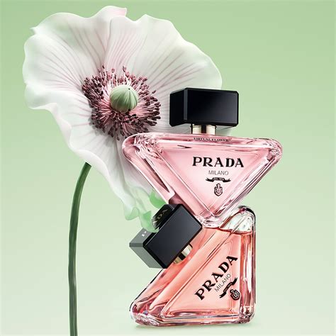 prada paradoxe voda